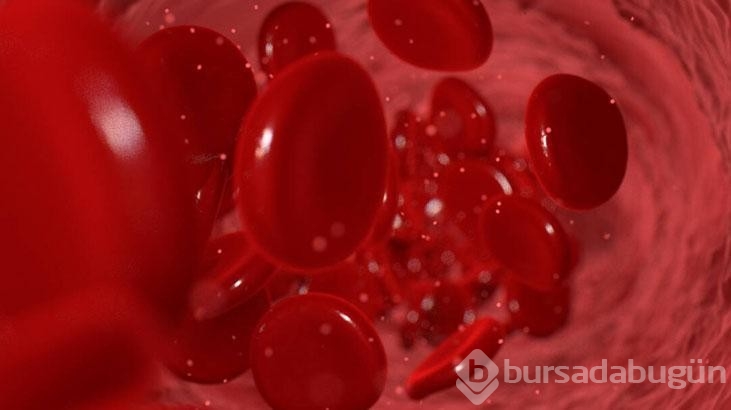 Bu kan grubuna sahip olanların ömrü daha uzun oluyormuş!