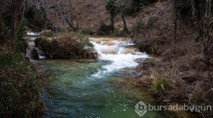 Kışın, güzelliğine güzellik kattığı Gürleyik Şelalesi