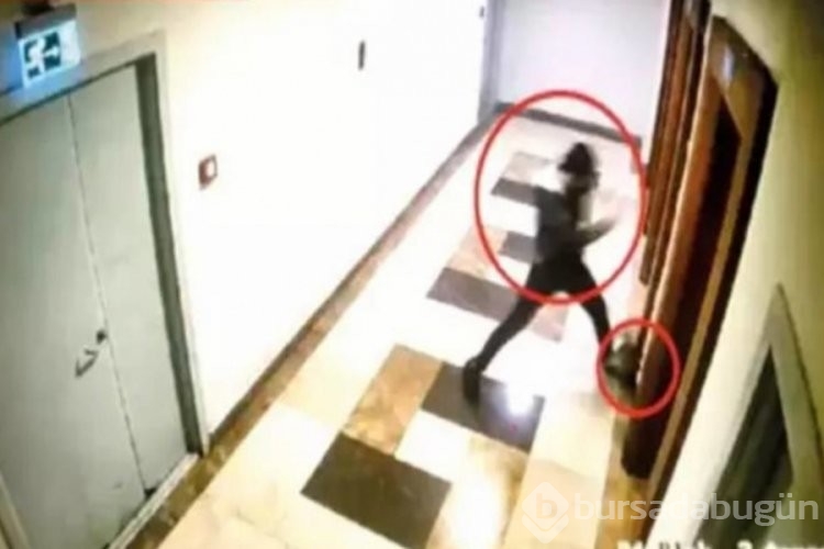 Asansöre binen kediyi öldüren şahsa sosyal medyada tepki yağdı!