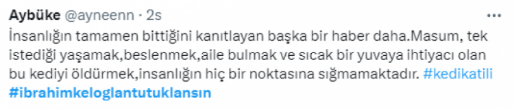 Asansöre binen kediyi öldüren şahsa sosyal medyada tepki yağdı!