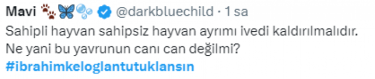 Asansöre binen kediyi öldüren şahsa sosyal medyada tepki yağdı!