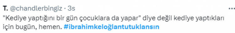 Asansöre binen kediyi öldüren şahsa sosyal medyada tepki yağdı!