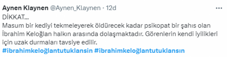 Asansöre binen kediyi öldüren şahsa sosyal medyada tepki yağdı!