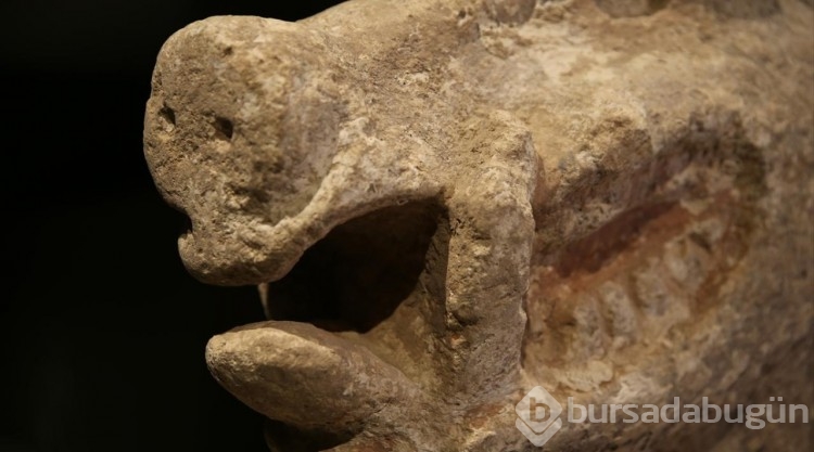 Neolitik döneme ait 81 eser ilk kez teşhir edilecek