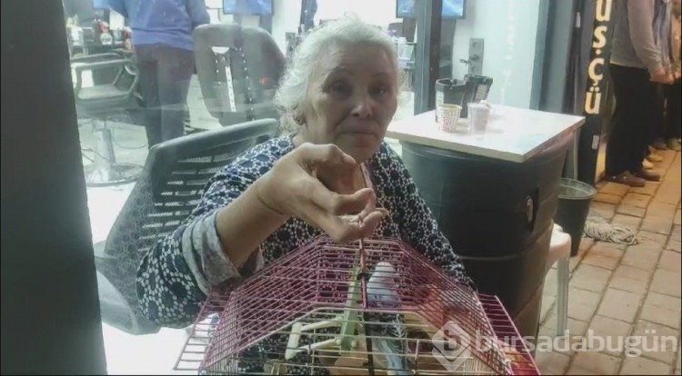 Evi yandı ama can yoldaşını bırakmadı
