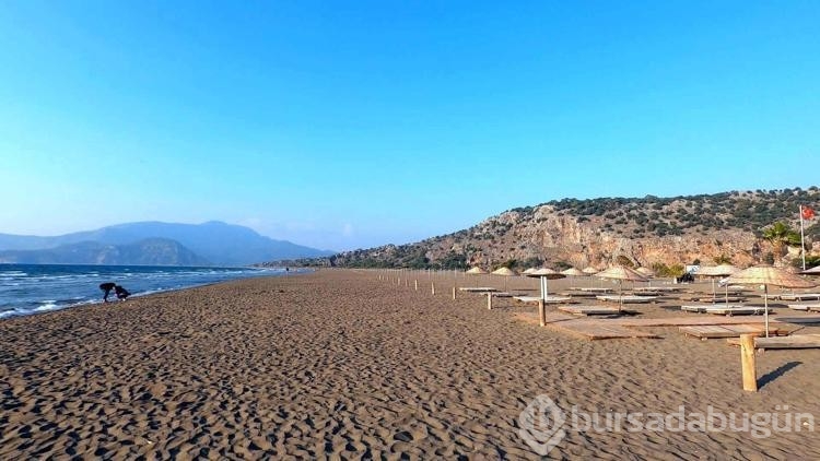 Deniz canlıların katili 'hayalet ağlar'
