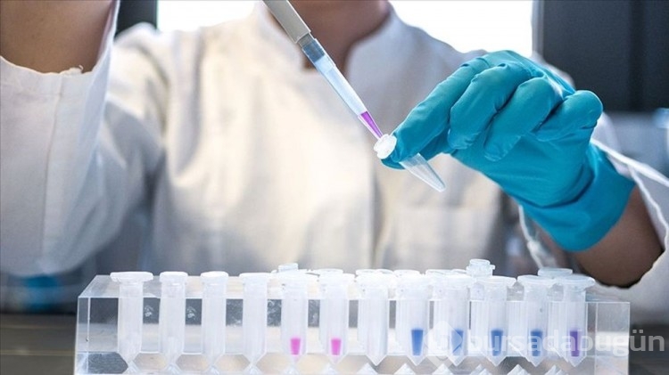 Türkiye'de HIV artış eğiliminde