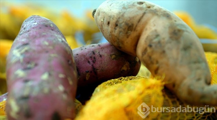 D vitamini için mutlaka tüketmeniz gereken besinler