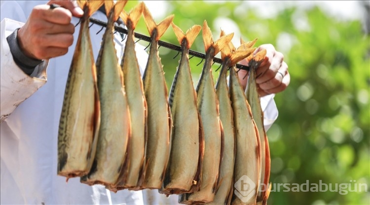 D vitamini için mutlaka tüketmeniz gereken besinler