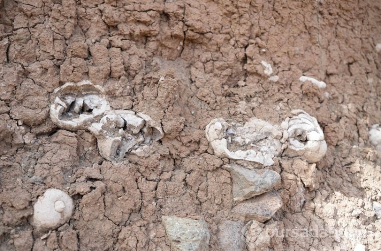 Niğde'de bir köyde vatandaşlar 25 metrede bulundu