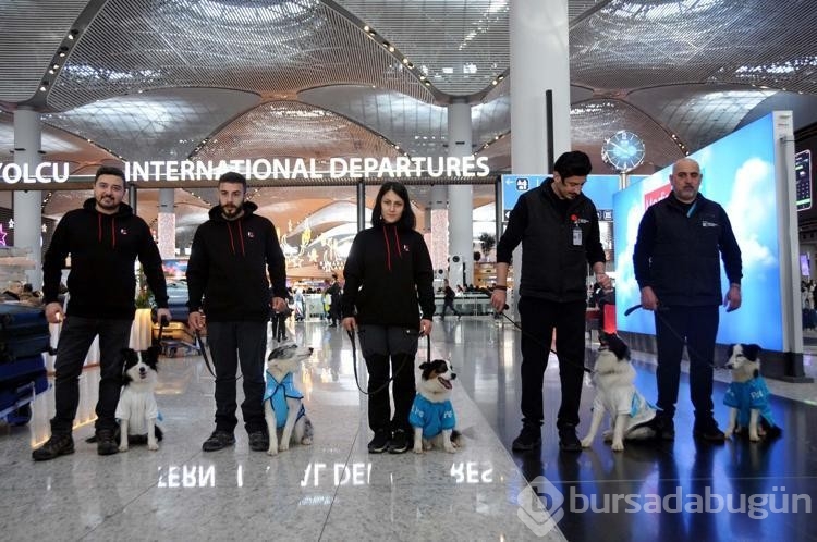 Terapi köpekleri İstanbul Havalimanı'nda iş başı yaptı
