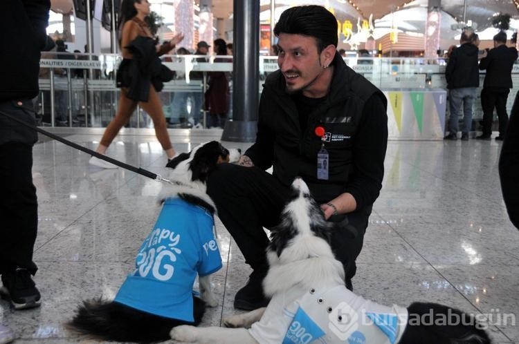 Terapi köpekleri İstanbul Havalimanı'nda iş başı yaptı
