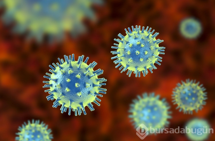 Alerji ve virüs nasıl ayırt edilir, benzerlikleri ve farkları nelerdir?
