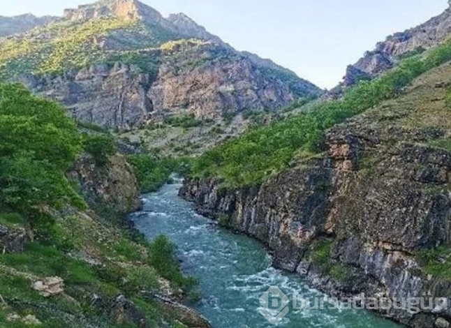 Türkiye'de hangi şehir neyi ile meşhur?