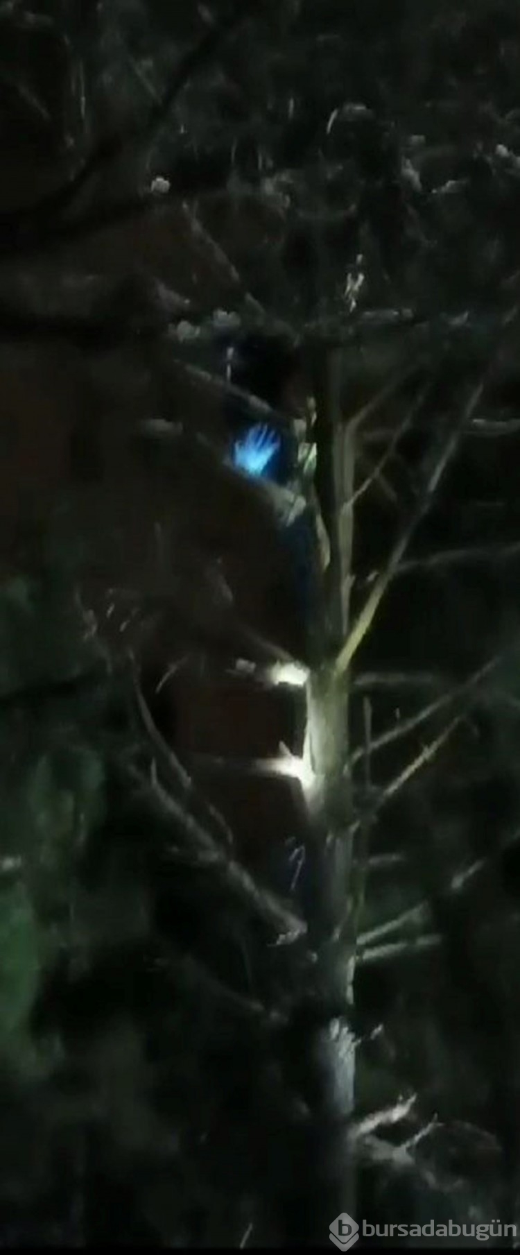 Marmaray saldırganından ağaçta taciz