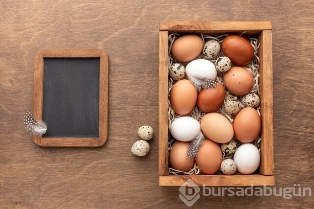 Kahverengi mi beyaz mı: Yumurtaların renkleri neden farklıdır?