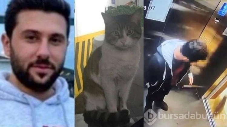 Kedi Eros'u öldüren İbrahim Keloğlan'a verilen cezaya itiraz