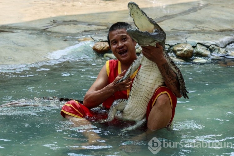 Tayland'da Timsah Çiftliği 3 yıl sonra yeniden açıldı&#8203;&#8203;&#8203;&#8203;&#8203;&#8203;&#8203;
