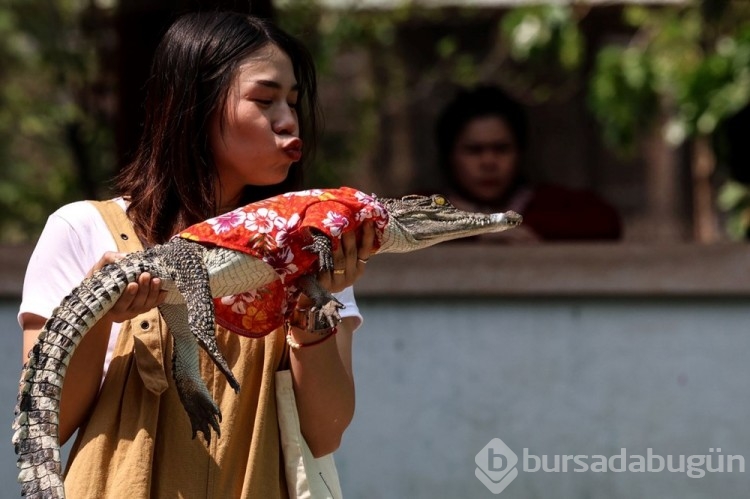 Tayland'da Timsah Çiftliği 3 yıl sonra yeniden açıldı&#8203;&#8203;&#8203;&#8203;&#8203;&#8203;&#8203;
