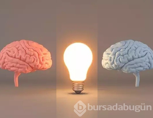 Beyin hakkındaki yanlış inanışlar nelerdir? Sağ veya sol beyinli! 