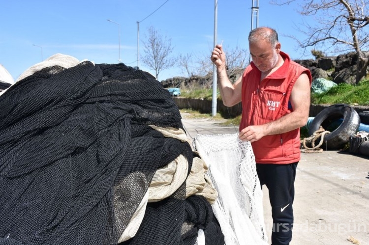 Karadeniz'de hamsi göçü