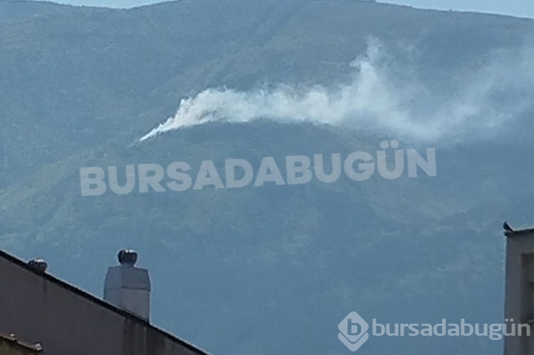 Bursa Uludağ'da yangın çıktı!