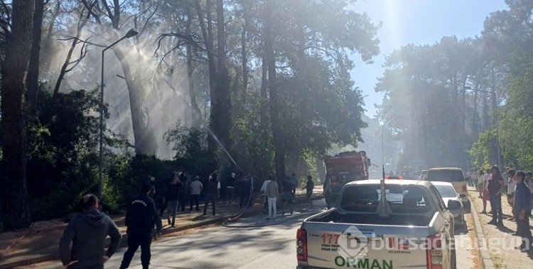 Manavgat'ta oteller bölgesine yakın noktada orman yangını
