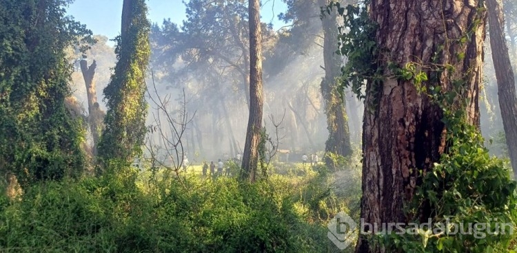 Manavgat'ta oteller bölgesine yakın noktada orman yangını

