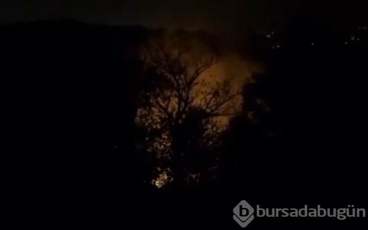 Yalova'da orman yangını! 2 şüpheli gözaltına alındı
