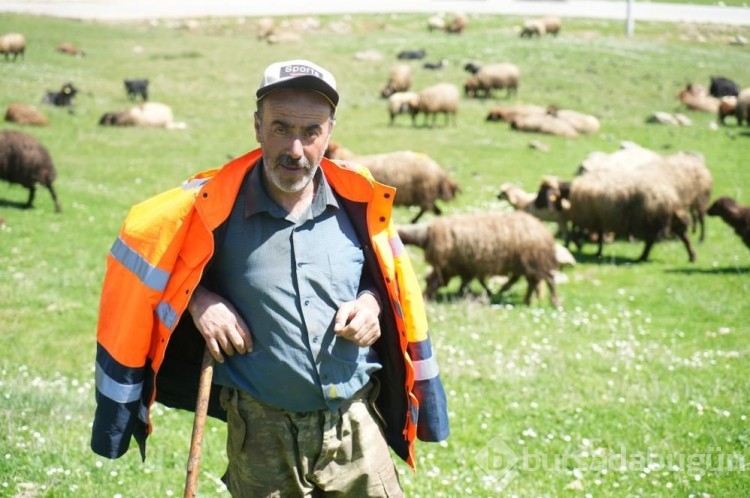 40 bin TL maaş var ama çalıştıracak kimse yok