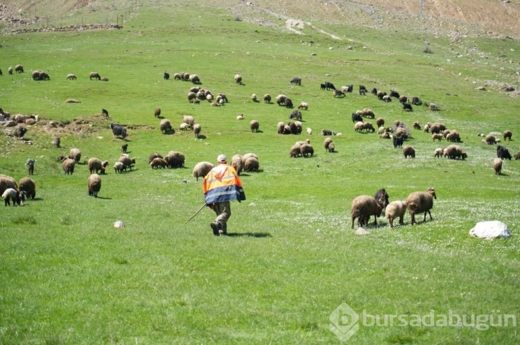 40 bin TL maaş var ama çalıştıracak kimse yok