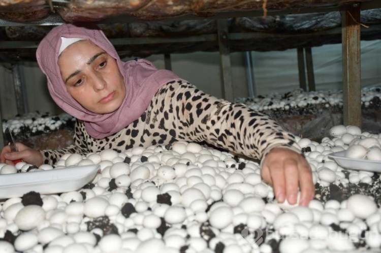 Eşine destek olmak için küçük bir alanda üretmeye başladı; şimdi siparişlere yetişemiyor
