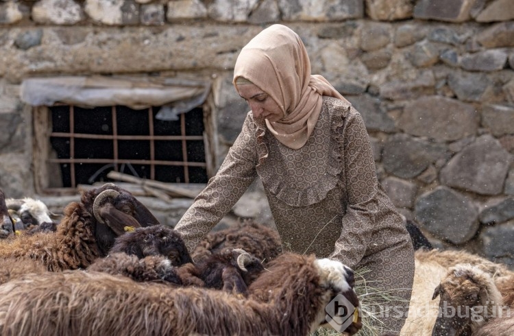 Eşinin tek maaşıyla geçinemeyince köyüne döndü; 2 yılda varlığını 5'e katladı
