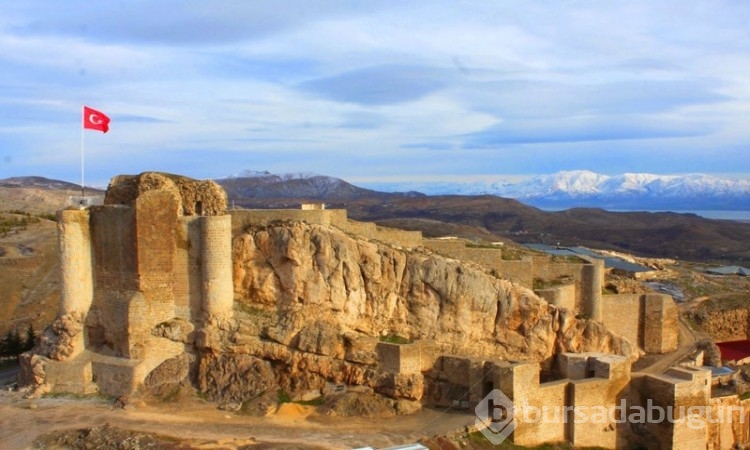 Elazığ'da yeni bir canlı türü keşfedildi