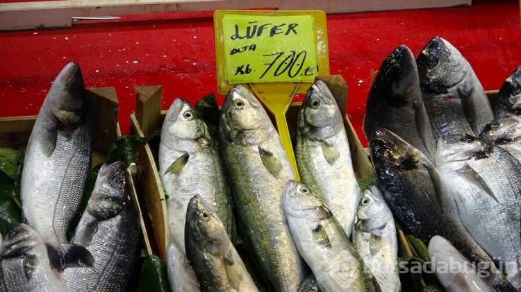Av yasağı balık fiyatlarını vurdu
