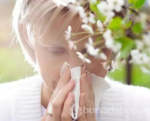 Bahar alerjinizi doğal çözümlerle hafifletmek mümkün!