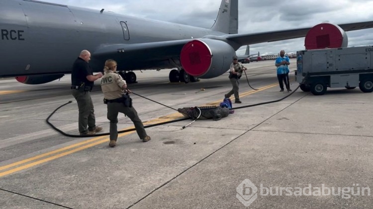 ABD'ye ait Hava Kuvvetleri üssünde timsah alarmı
