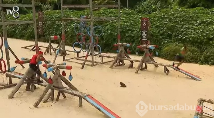 Survivor iletişim ödülünün kazananı belli oldu
