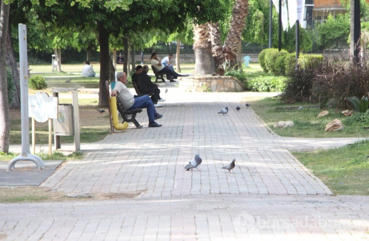 Çukurova alev alev yanıyor: Adana'da termometreler 42 dereceyi gördü
