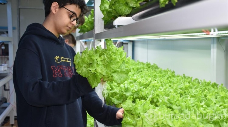 Trabzon'da meslek lisesi öğrencileri topraksız tarımla sebze yetiştiriyor
