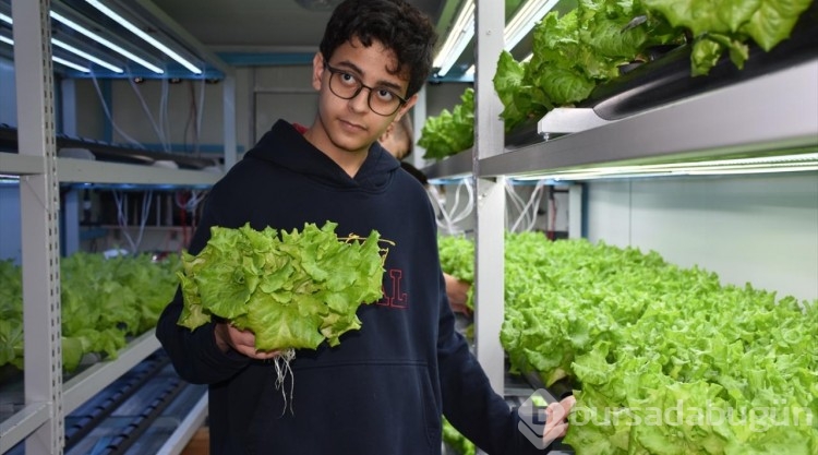 Trabzon'da meslek lisesi öğrencileri topraksız tarımla sebze yetiştiriyor

