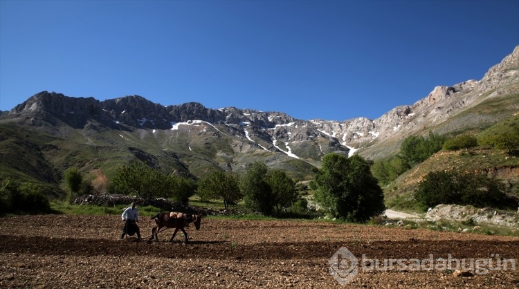 Malatya'daki Porga Vadisi
