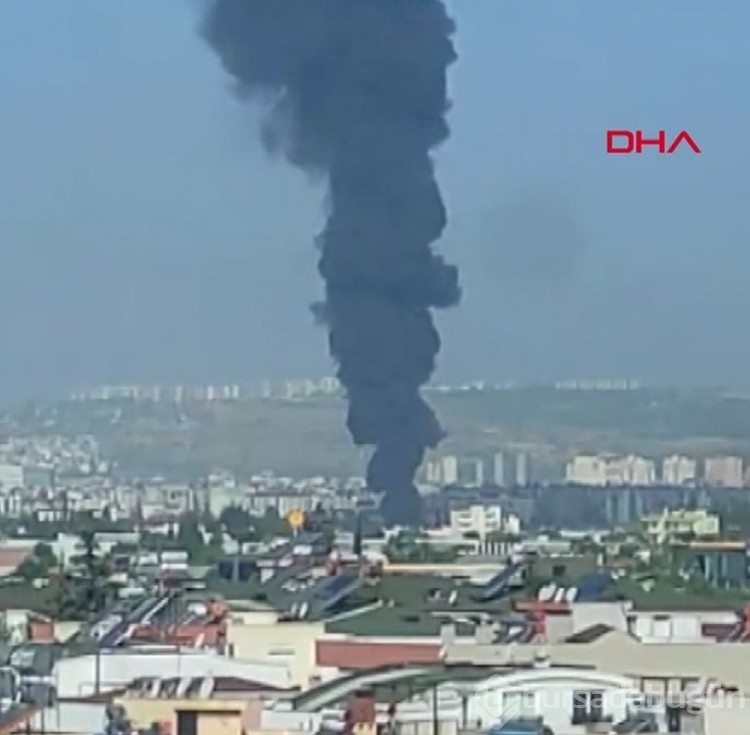 Antalya'da yangın