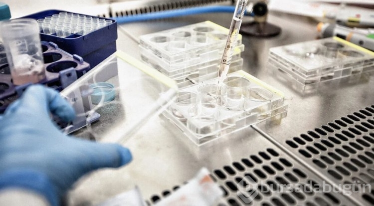 Kişiye özel ilk cilt kanseri aşısı İngiltere'de test ediliyor!