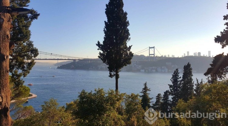 İstanbul'da mutlaka görmeniz gereken 10 tabiat parkı