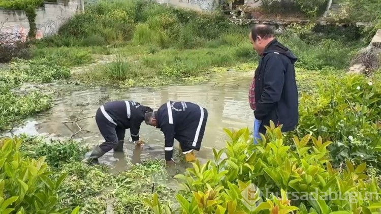 Edanur'un ölümünün ardından Avcılar'daki benzer alanda çalışma
