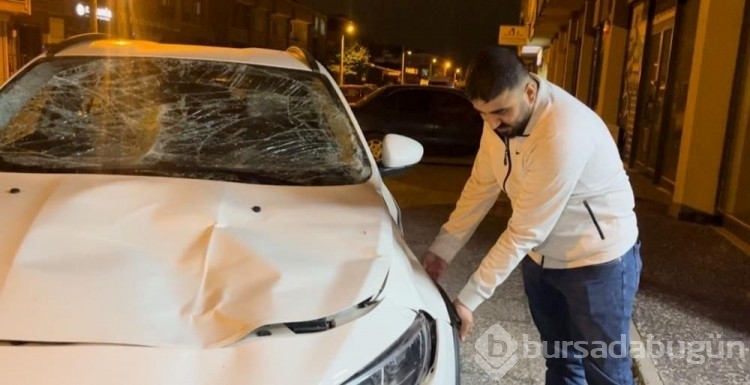 Bursa'da seyir halindeki araca at çarptı
