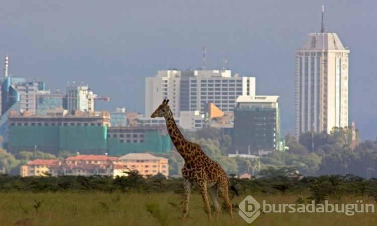 Afrika'da en çok ziyaret edilen birbirinden güzel 10 şehir