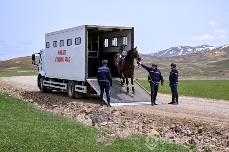 Atlı tim sınır hattında devriyede
