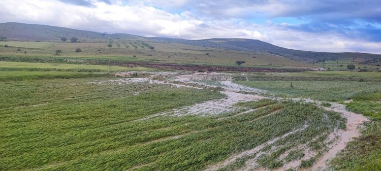 Tarım arazilerini sel vurdu
